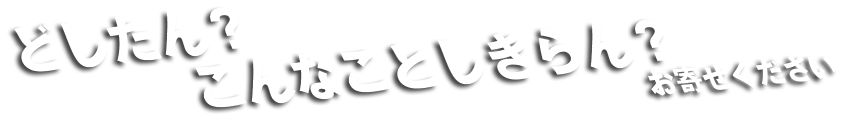 どうしたん？こんなことしきらん？